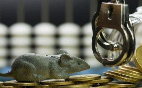 matic币大佬精准喊单揭秘