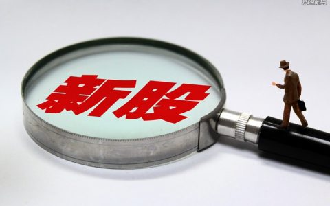 MT4喊单直播间：实战技巧解析